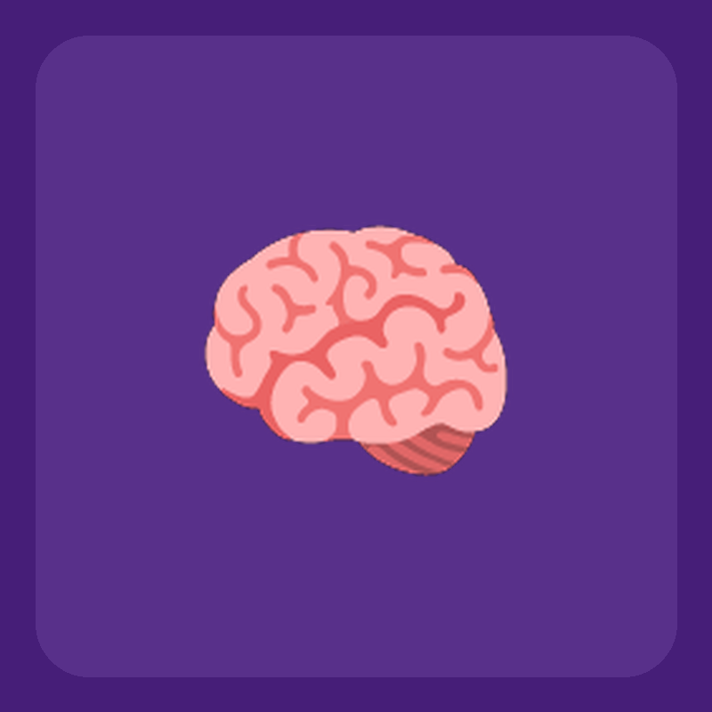 Pack Quiz IA — Annuel